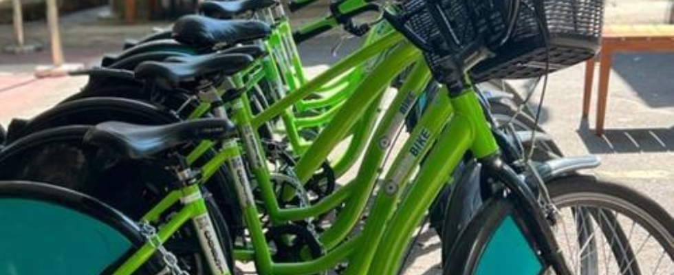 Parque Horto Florestal conta com novo serviço de aluguel de bikes em SP